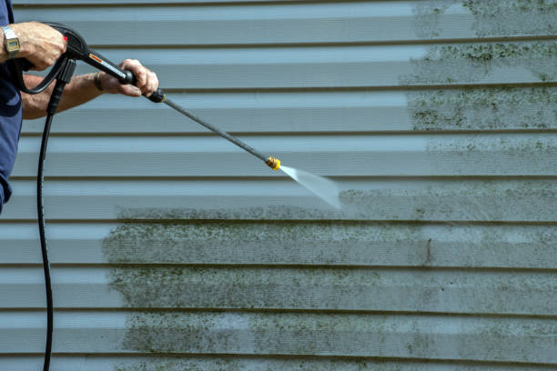 Best Patio and Deck Pressure Washing  in Bells, TN